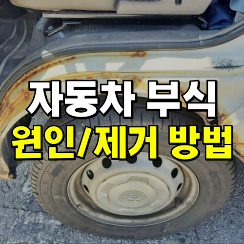 자동차 부식 녹 원인 제거 방법 수리비 판매 정보