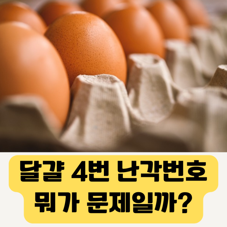 <b>이경실</b> ‘우아란’ <b>달걀 논란</b> 난각번호 의미, 사육환경, 선택... 