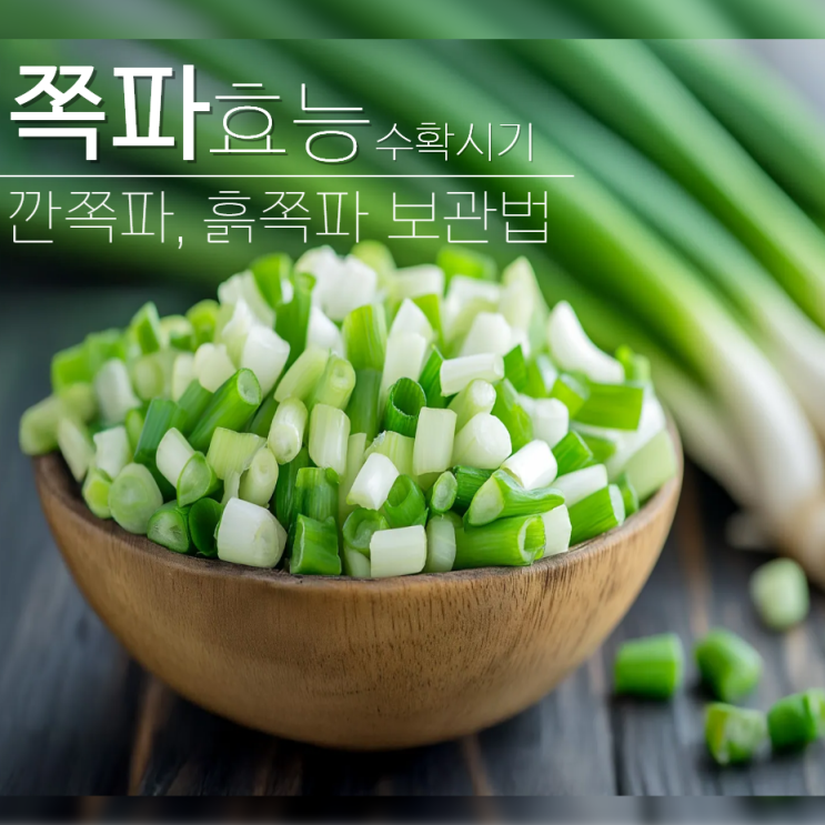  쪽파 김치 효능 수확시기 깐쪽파 보관법