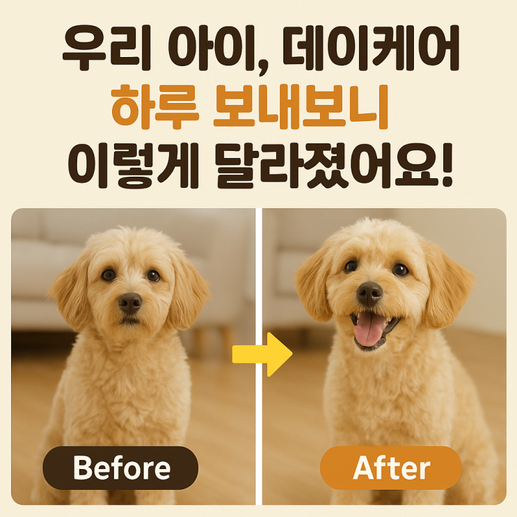   처음 가본 반려견 데이케어 센터, 솔직 체험 후기