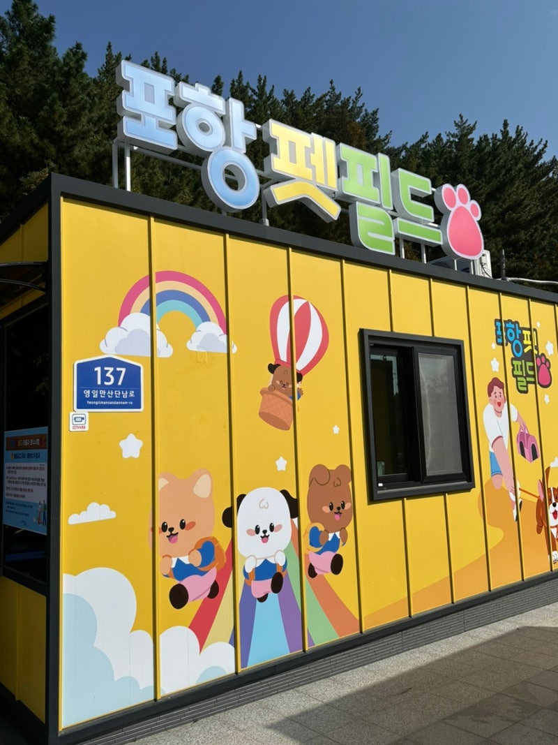 사진 5