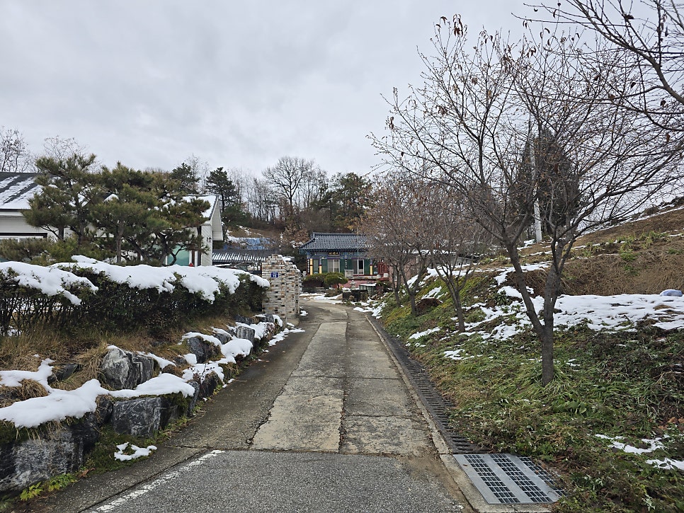 태고산 사진 2