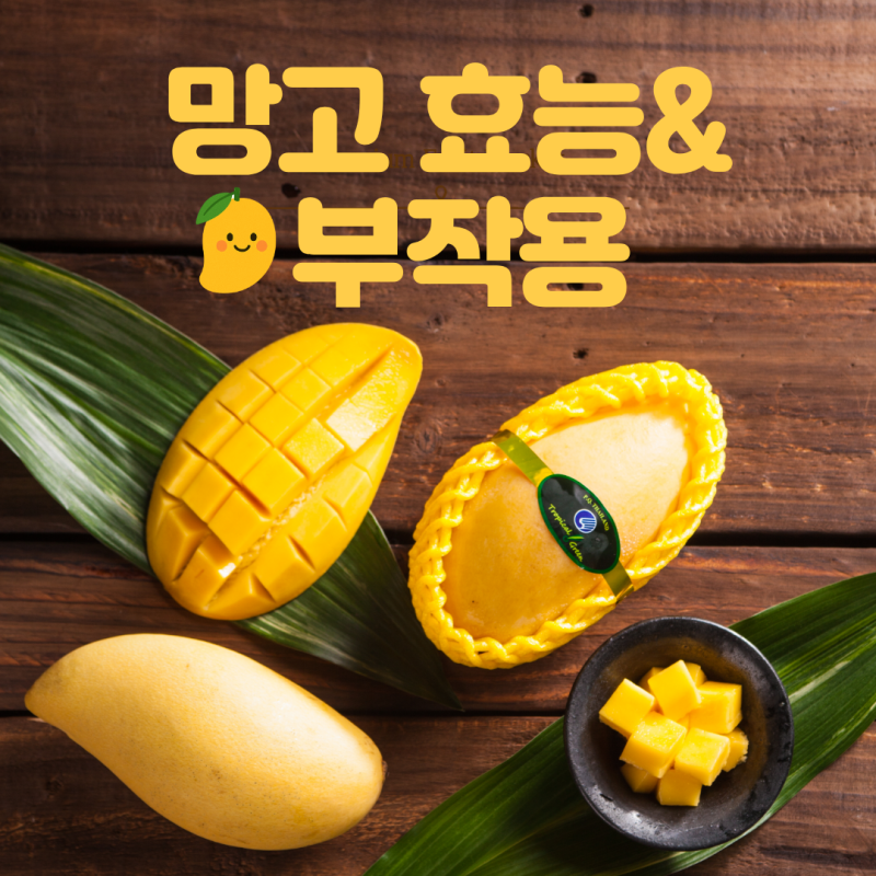 애플망고 자르는법 컵 사용하는 꿀팁 공개