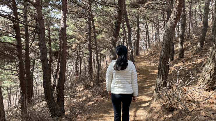  구봉도 낙조 전망대 여행기 | 대부도 해솔길 산책 & 일몰 명소