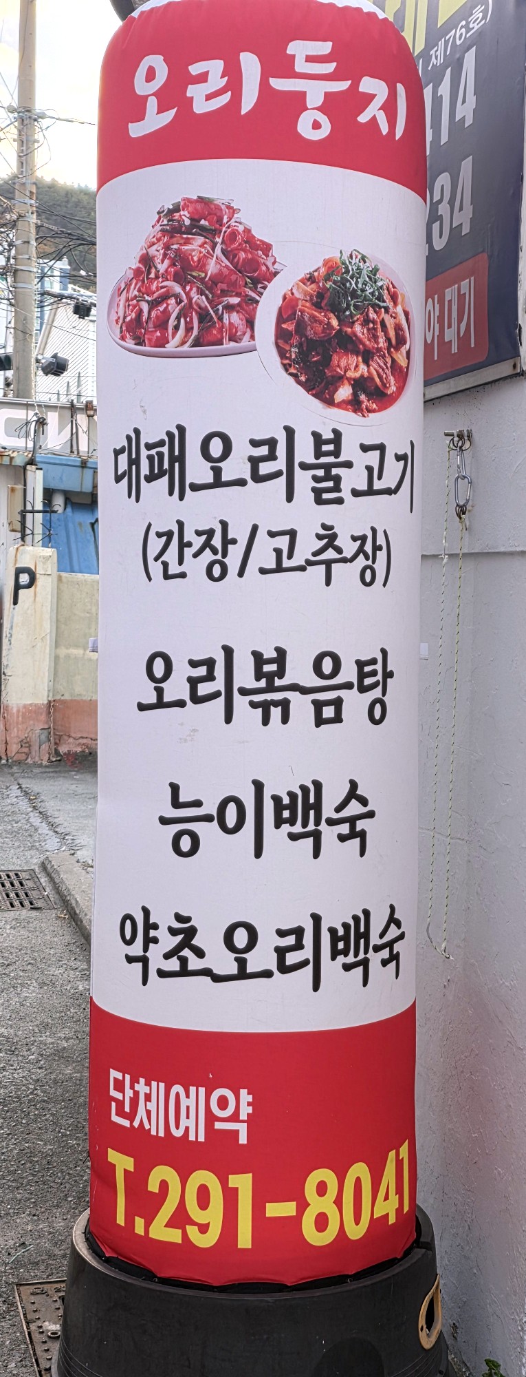 오리둥지 사진 4