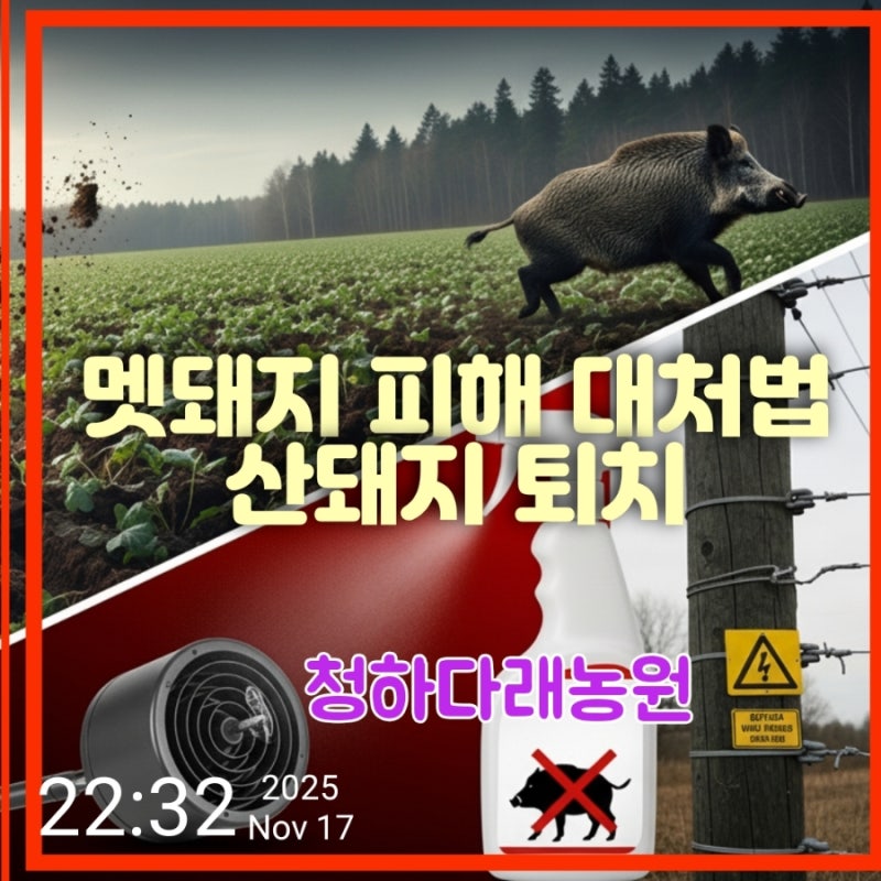 멧돼지 피해 대처법 산돼지 퇴치