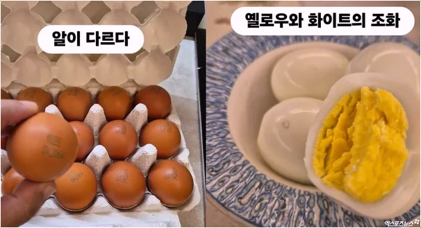  이경실 달걀 난각번호 4번? 가격 논란 속 진실과 해명!