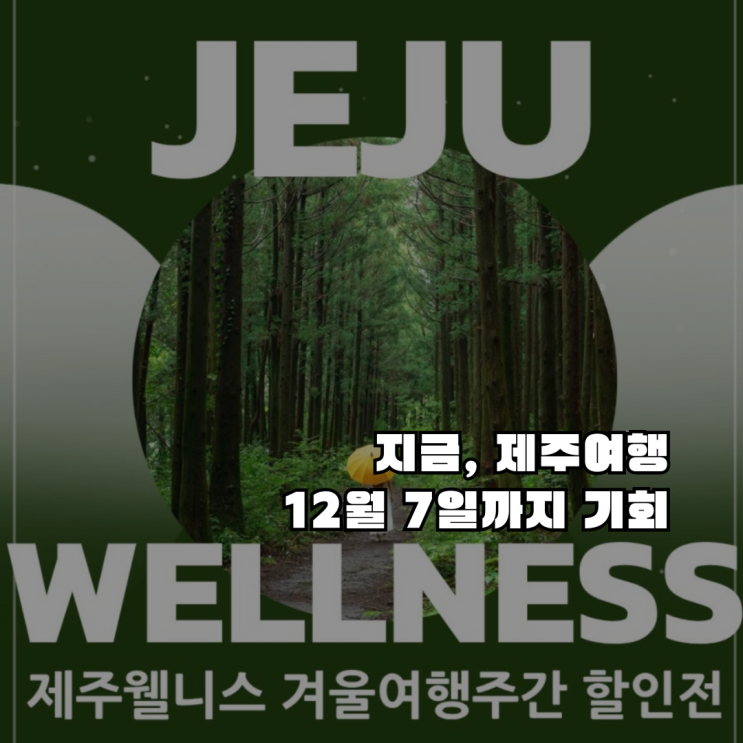  제주도 겨울여행, 카페만 가실 건가요? 웰니스 핫플 5곳, 최대 60% 할인받는 법