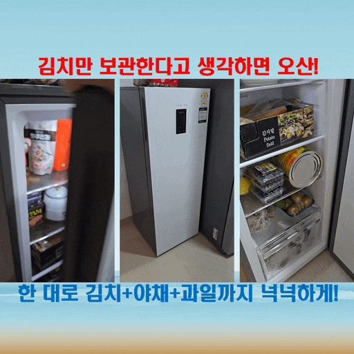  김치부터 과일까지, 공용 냉장고 고민 끝! 쿠잉전자 120L 실사용 후기