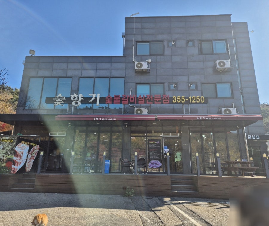 숯향기 사진 1