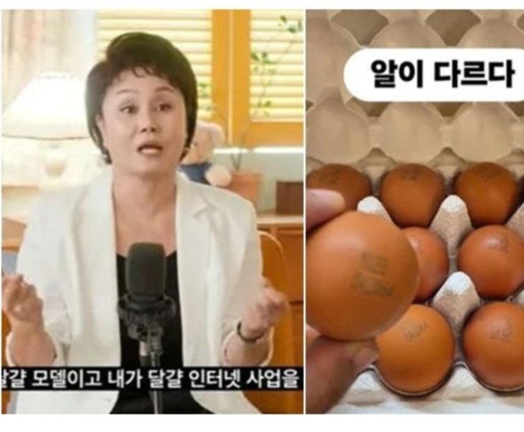 <b>이경실 달걀 가격</b> 논란 난각번호 4번 조혜련 홍보 삭제 팬심... 