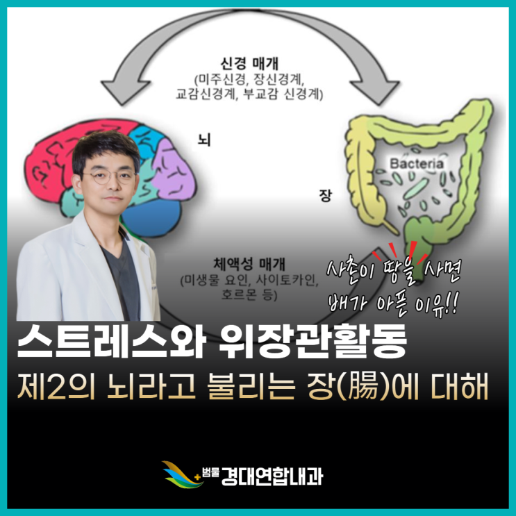  사촌이 땅을 사면 왜 배가 아플까요? 내과 전문의가 재미있게 풀어봅니다.<스트레스와 위장의 상관관계>
