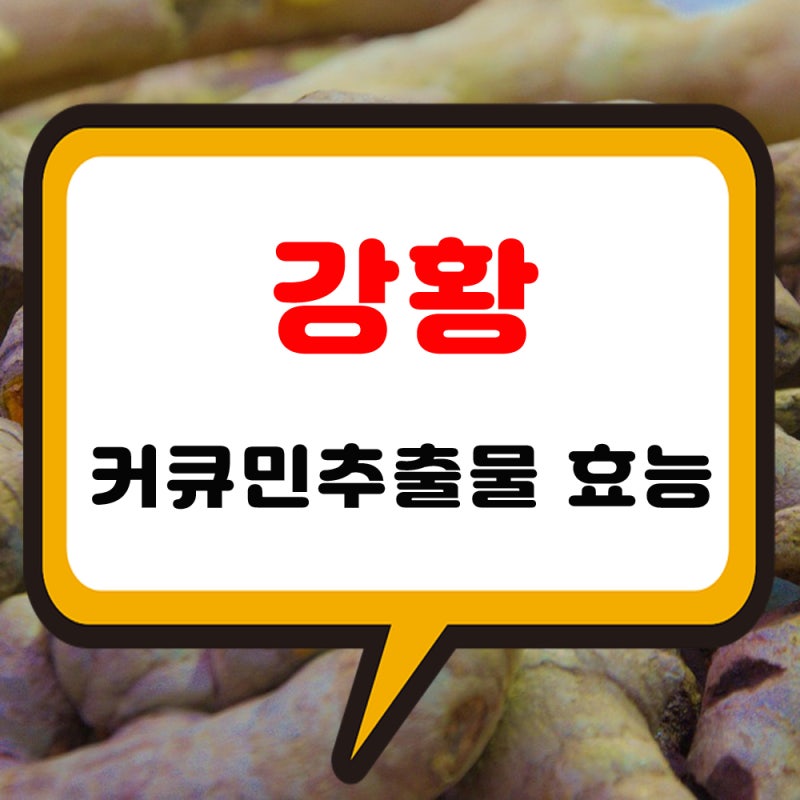 강황가루효능 인도산 커큐민추출물 정과 환 먹는법