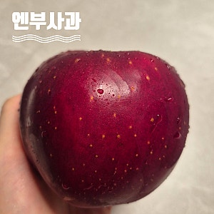 엔부사과 보관방법 후숙 냉장 피치애플 피치사과 엠부사과 제철 수확시기 판매시기 돌쇠네....
