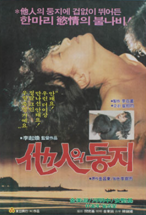  타인의 둥지(1982) - 선을 넘나들며 이어가는 아슬아슬한 삼각관계