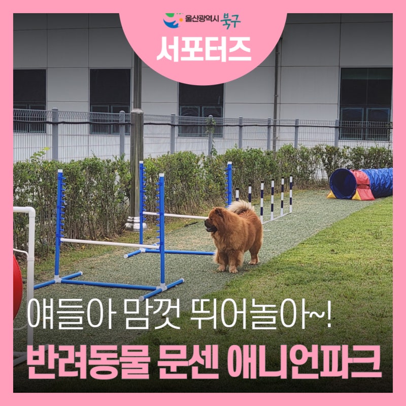 애니언파크(울산 반려동물 문화센터)