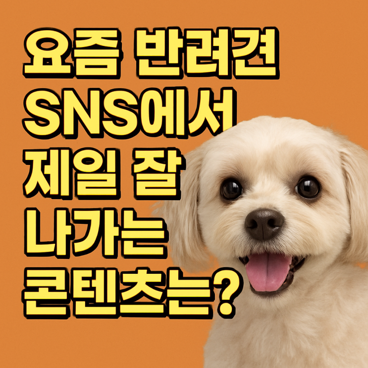   요즘 반려견 SNS 인기 콘텐츠 분석 — 2025 최신 트렌드 정리