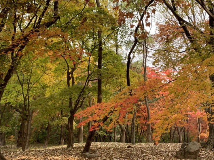 <b>한덕수</b> 전 국무총리 <b>재판 증인</b>으로 나온 최상목 전 경제부총리... 