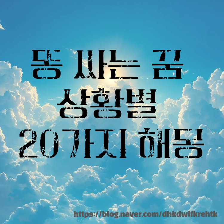 똥 싸는 꿈 상황별 20가지 해몽 의미!