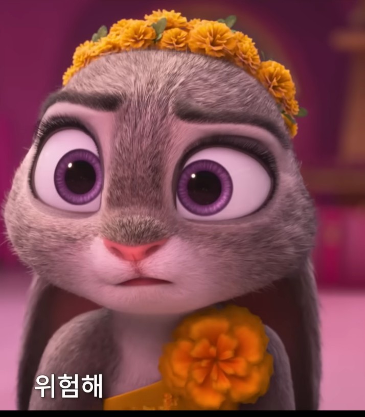  전작 뛰어넘었다… ‘주토피아2’ 기대 포인트 5가지 (개봉 전 폭발적 관심)