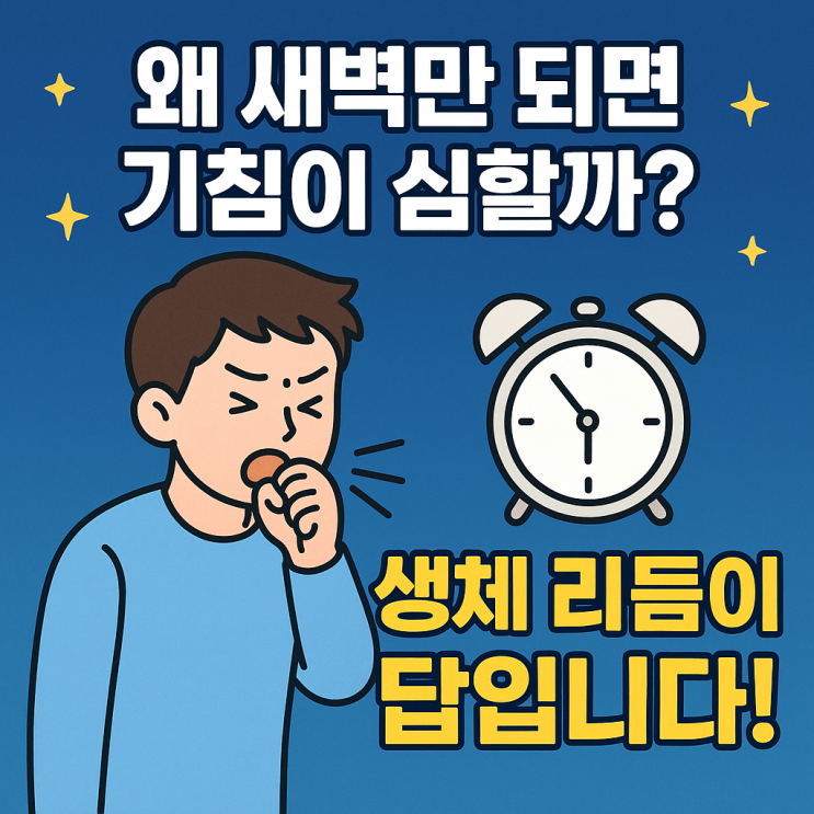  왜 새벽만 되면 기침이 심해질까? 몸에서 벌어지는 변화 설명합니다