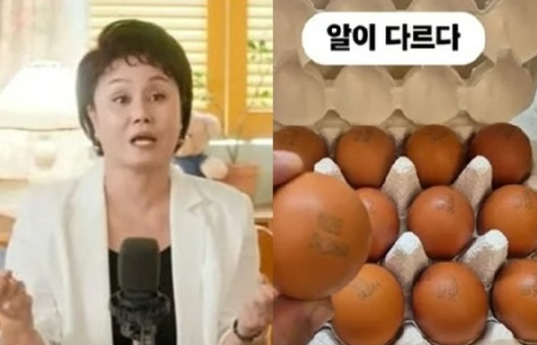 이경실 계란 반응 안 좋은 이유 난각번호 4번인데 1번 가격? 계란난각번호 구분법
