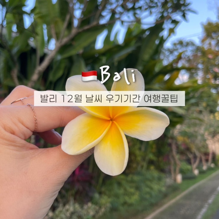  발리 12월 날씨 수영가능? 인도네시아 우기기간 옷차림 여행꿀팁