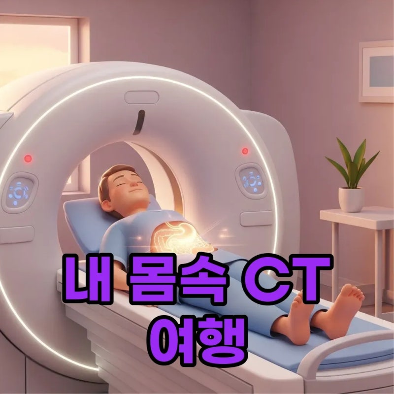 내 몸속을 들여다보는 복부CT: 조영제부터 금식까지 완벽 가이드