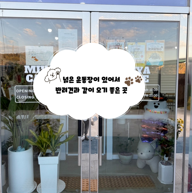 사진 7