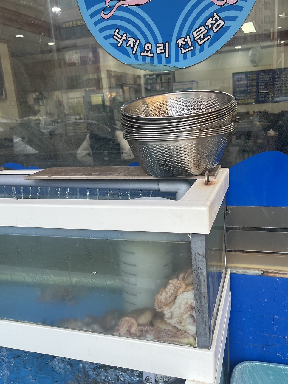 백년낙지마당 사진 3