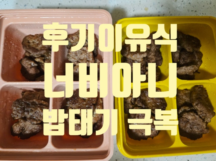  [Rana이유식] 후기이유식: 밥태기 극복 [너비아니] 만드는 법