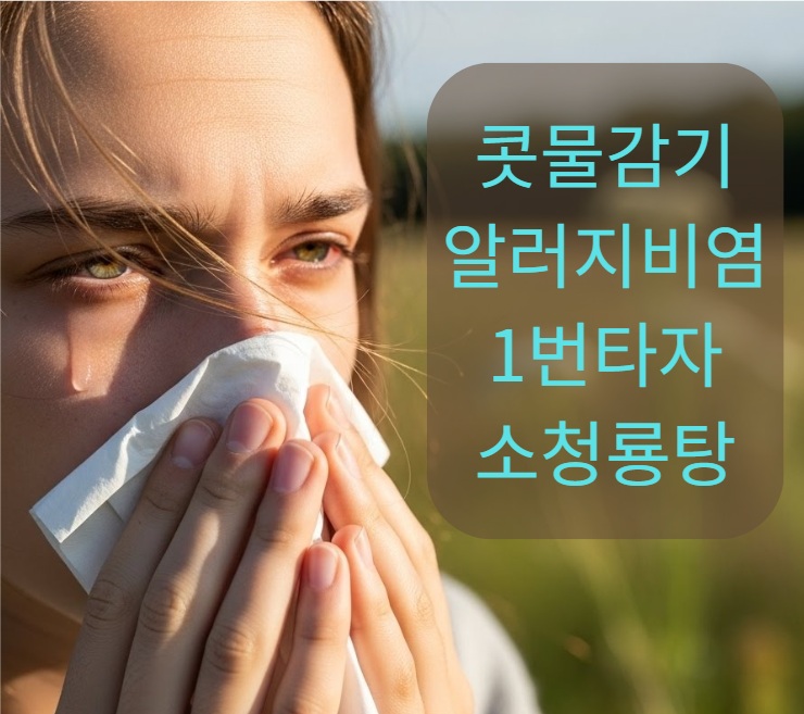  겨울철 감기, 비염의 1번 타자 - 소청룡탕