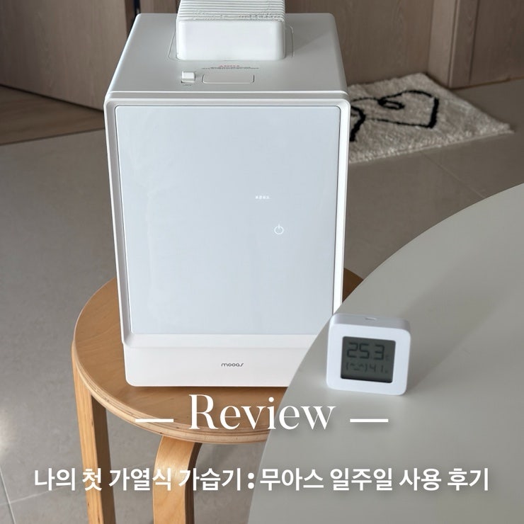 무아스 가열식 가습기 일주일 사용 후기 (내돈내산, 장점 단점)