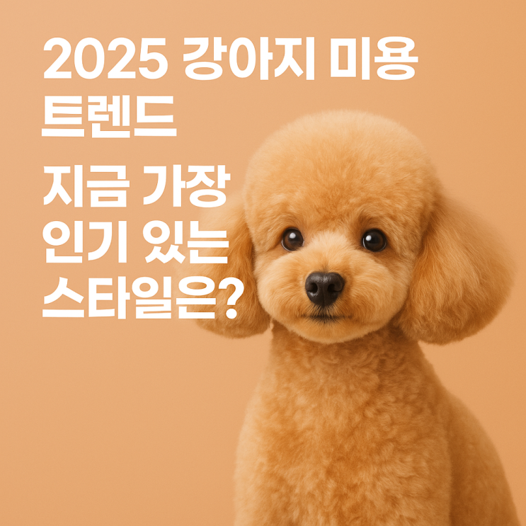   요즘 가장 핫한 강아지 미용 스타일 트렌드 총정리!