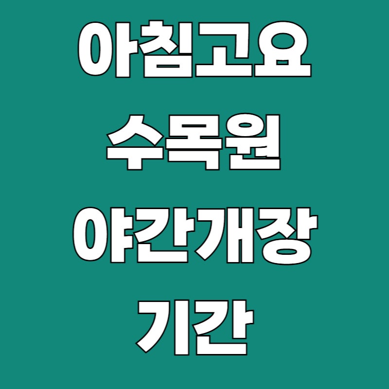 아침고요수목원 야간개장 기간·운영시간·할인 받는 법·예매 방법 총정리