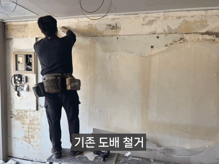  시흥 정왕 2동 13평 상가 전체도배 – 면 불량 보수 + 삼중지 작업까지 삼촌도배 시공 사례