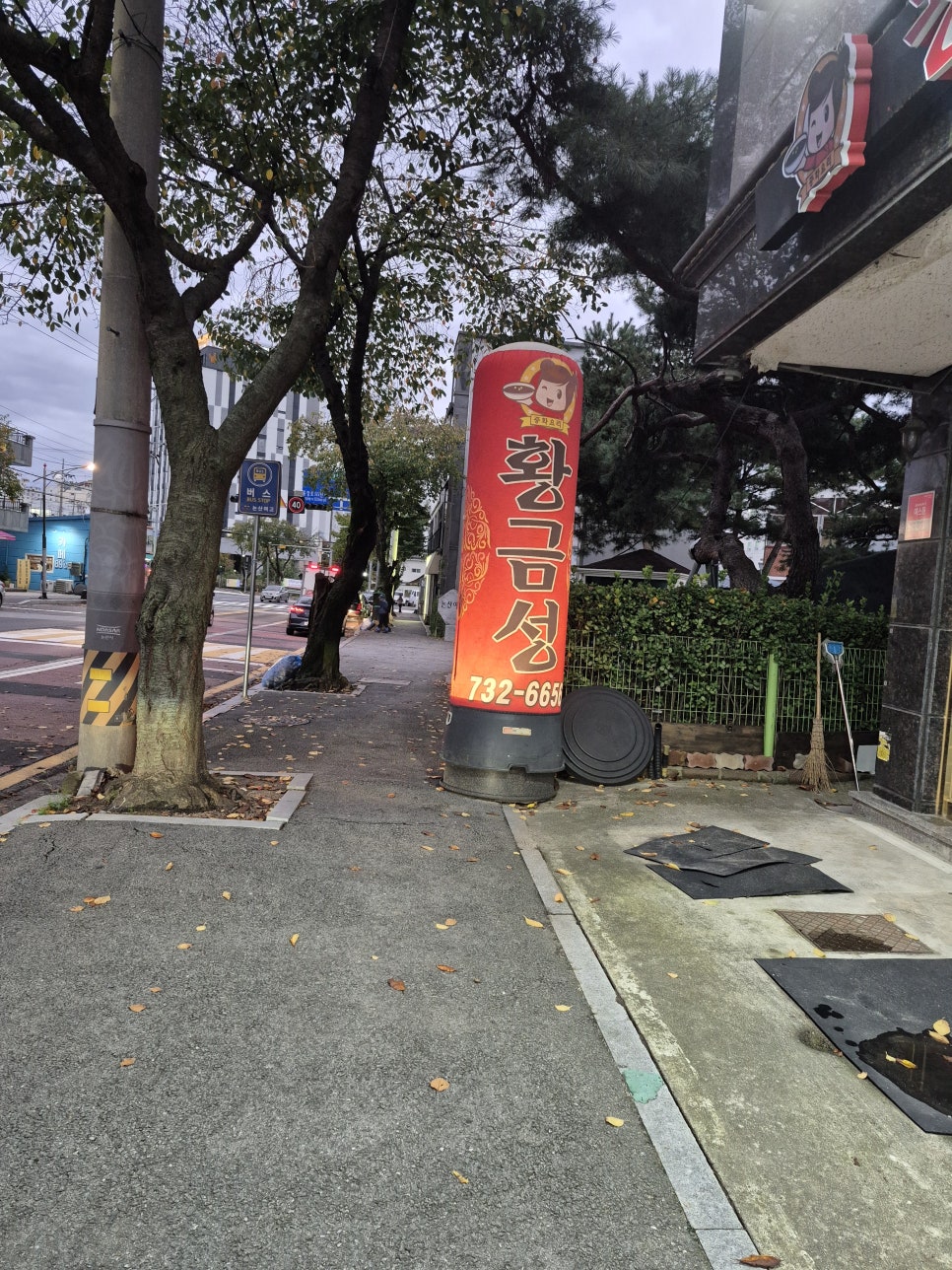 황금성 사진 3