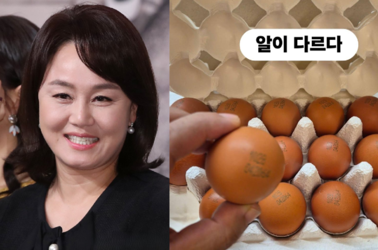 “4번란인데 왜 이렇게 비싸냐”… <b>이경실</b> ‘<b>달걀 논란</b>’ 확산... 
