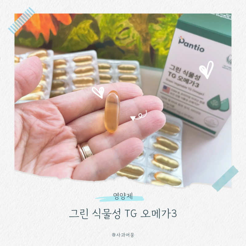 중금속 제로 보령약국 식물성오메가3 판티오 그린 TG