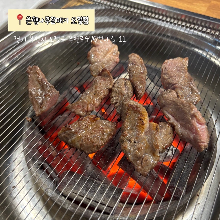 은행나무갈매기 오정점 사진 1