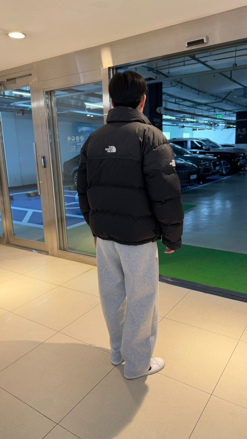 朴寶劍 The North Face Remaster 羽絨夾克樂天免稅店折扣價/L尺寸心得
