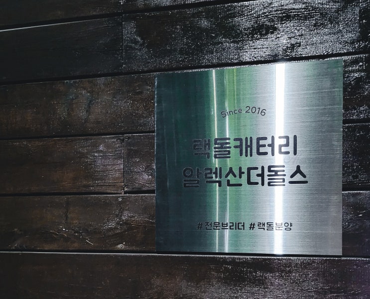  [2025 최신] 랙돌 캐터리 분양가 & 입양 예약 절차 안내｜알렉산더돌스 랙돌 분양 가이드