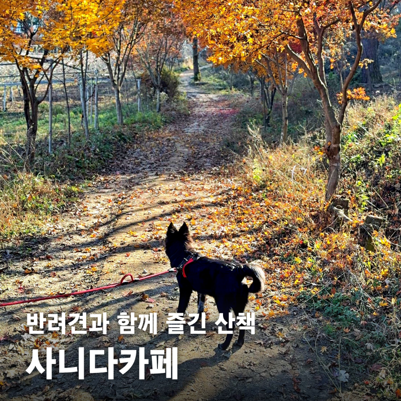 사진 6