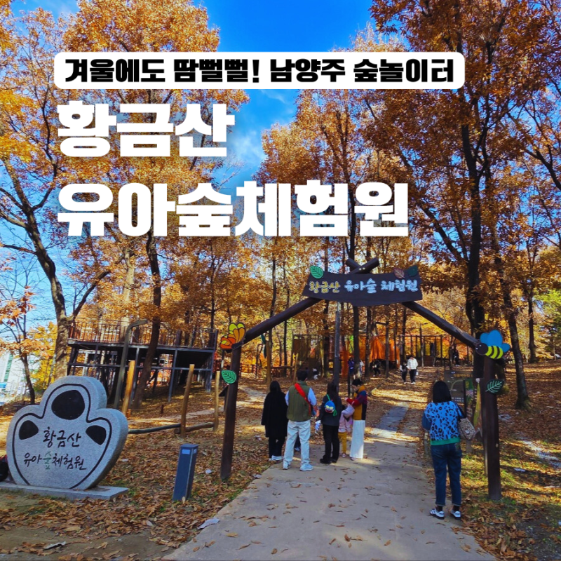 남양주 숲놀이터 추천 황금산 문화공원 유아숲 체험원