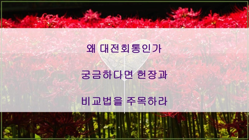 왜 대전회통인가 궁금하다면 헌장과 비교법을 주목하라
