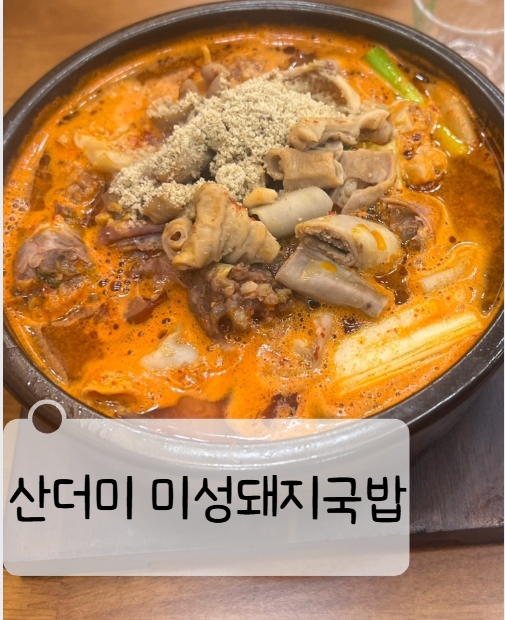  수원시청역 국밥집 산더미 미성돼지국밥 수원시청역점