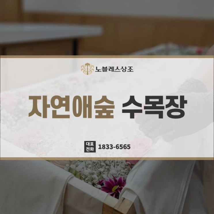 자연애숲 수목장 선택, 이렇게 준비해야