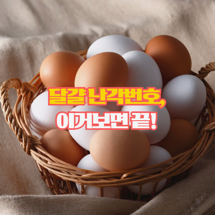  달걀 난각번호로 안전하게 고르는 법, 구매 전 꼭 확인하세요