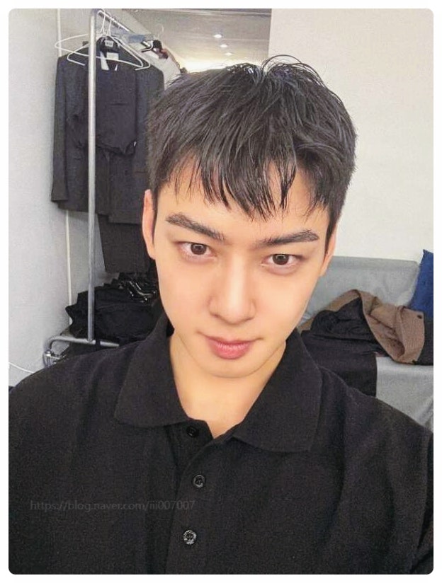  차은우 동생 이동휘 AI 전문가 실물! 형 악플 지킴이 시스템? 얼굴 프로필 스펙