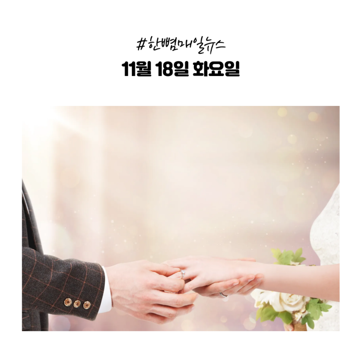  [매일뉴스] 11월18일(화) 사돈도 부자여야 한다?